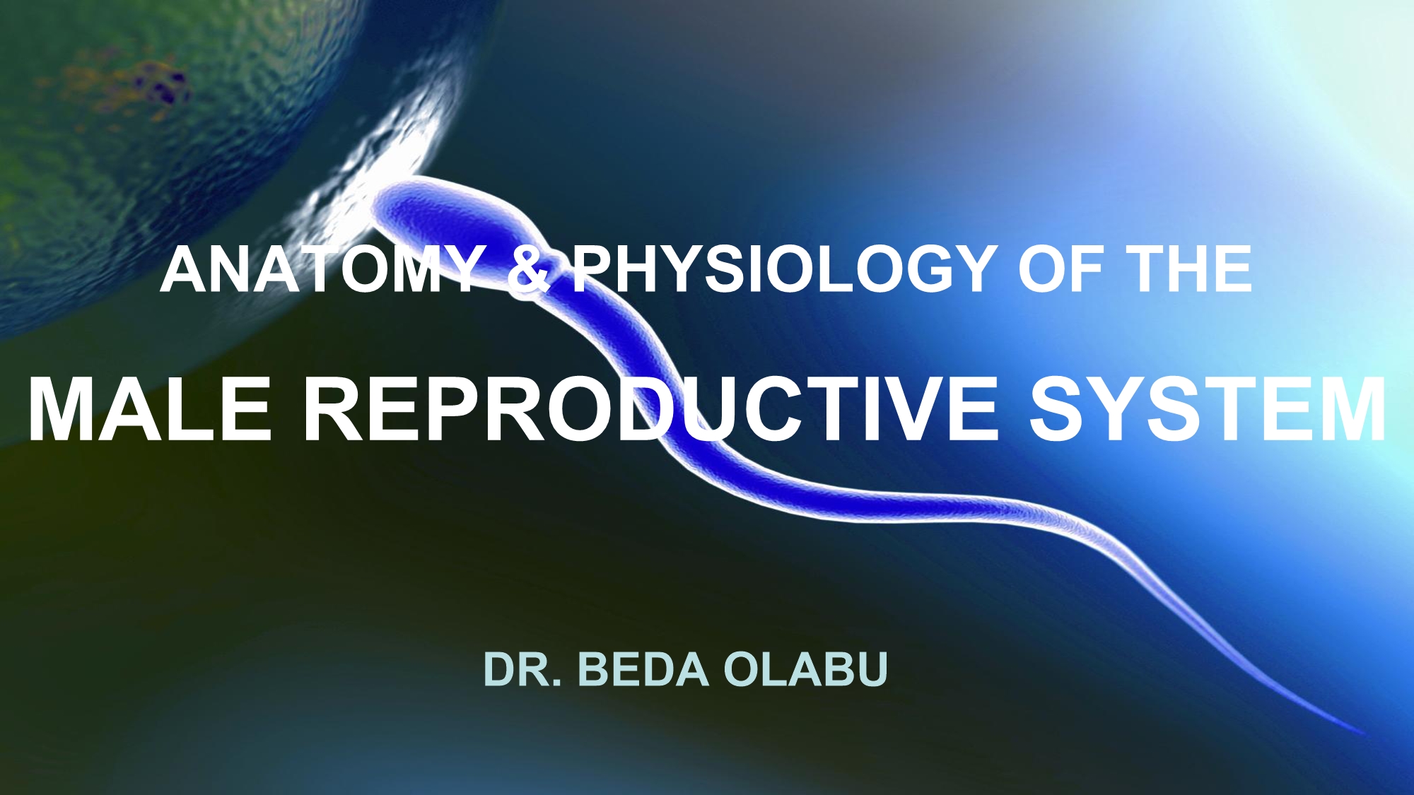 No preview available